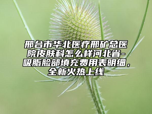 邢台市华北医疗邢矿总医院皮肤科怎么样河北省-吸脂脸部填充费用表明细，全新火热上线