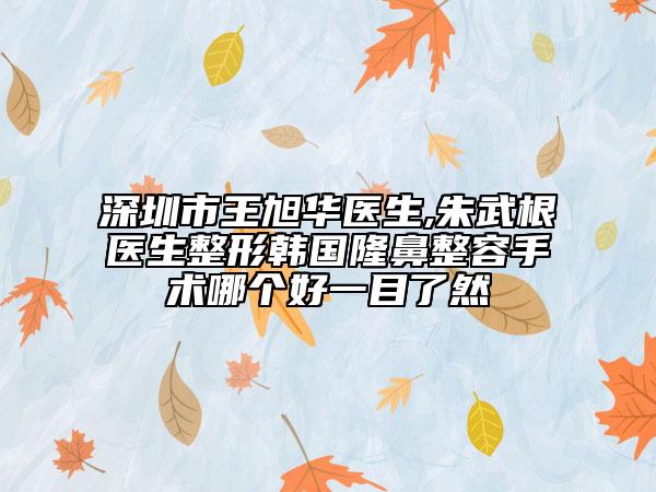 深圳市王旭华医生,朱武根医生整形韩国隆鼻整容手术哪个好一目了然
