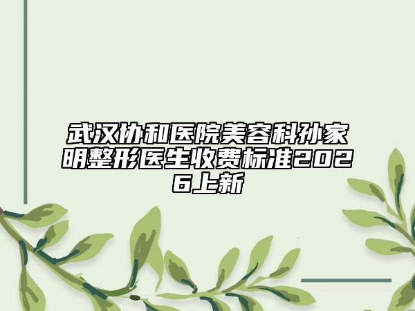 武汉协和医院美容科孙家明整形医生收费标准2026上新