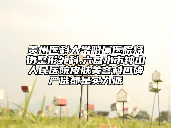 贵州医科大学附属医院烧伤整形外科,六盘水市钟山人民医院皮肤美容科口碑严选都是实力派