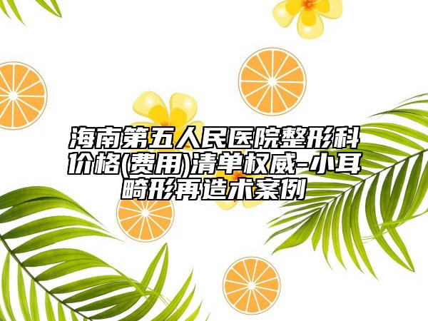 海南第五人民医院整形科价格(费用)清单权威-小耳畸形再造术案例