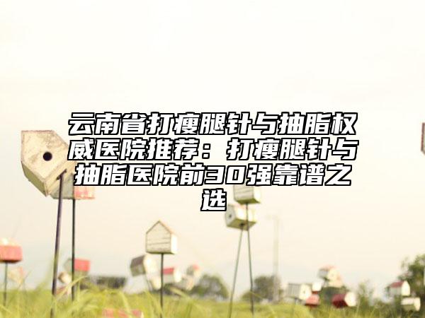 云南省打瘦腿针与抽脂权威医院推荐：打瘦腿针与抽脂医院前30强靠谱之选