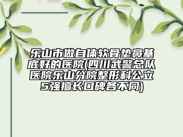 乐山市做自体软骨垫鼻基底好的医院(四川武警总队医院乐山分院整形科公立5强擅长口碑各不同)