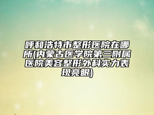 呼和浩特市整形医院在哪所(内蒙古医学院第三附属医院美容整形外科实力表现亮眼)