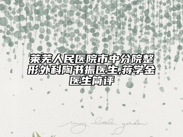 莱芜人民医院市中分院整形外科陶书振医生,蒋学金医生简评