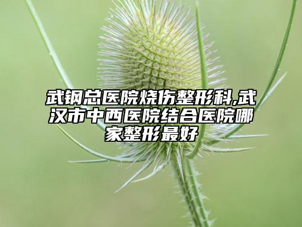 武钢总医院烧伤整形科,武汉市中西医院结合医院哪家整形最好