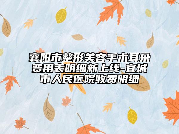 襄阳市整形美容手术耳朵费用表明细新上线-宜城市人民医院收费明细