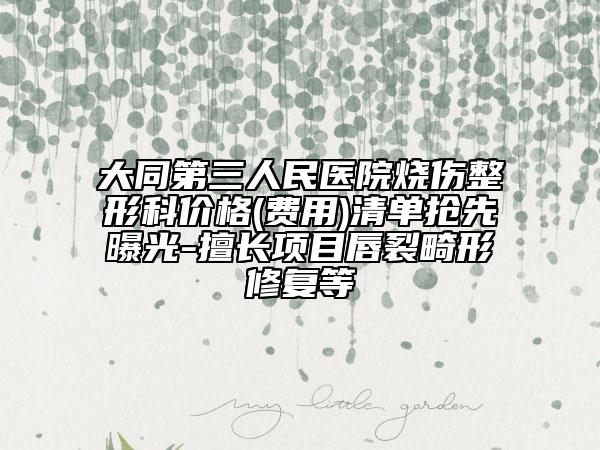 大同第三人民医院烧伤整形科价格(费用)清单抢先曝光-擅长项目唇裂畸形修复等