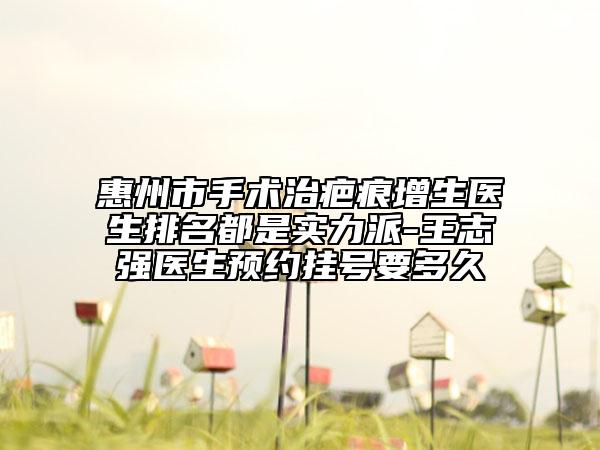 惠州市手术治疤痕增生医生排名都是实力派-王志强医生预约挂号要多久