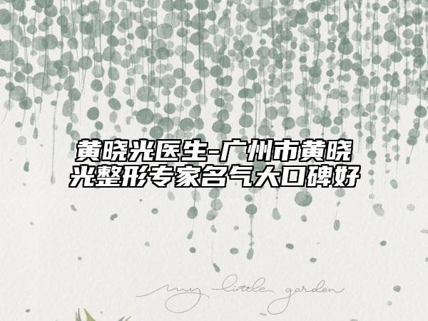 黄晓光医生-广州市黄晓光整形专家名气大口碑好