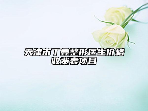 天津市丁鑫整形医生价格收费表项目
