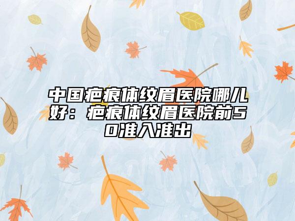 中国疤痕体纹眉医院哪儿好：疤痕体纹眉医院前50准入准出