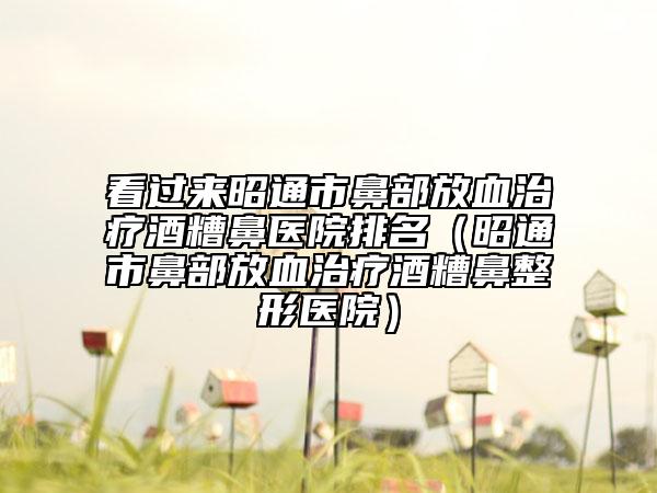 看过来昭通市鼻部放血治疗酒糟鼻医院排名（昭通市鼻部放血治疗酒糟鼻整形医院）