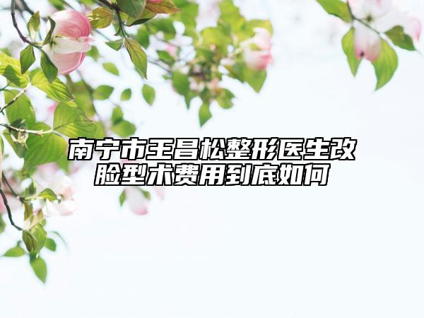南宁市王昌松整形医生改脸型术费用到底如何