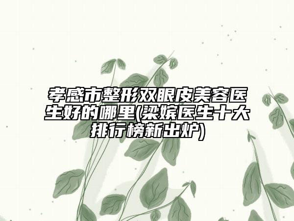 孝感市整形双眼皮美容医生好的哪里(梁嫔医生十大排行榜新出炉)