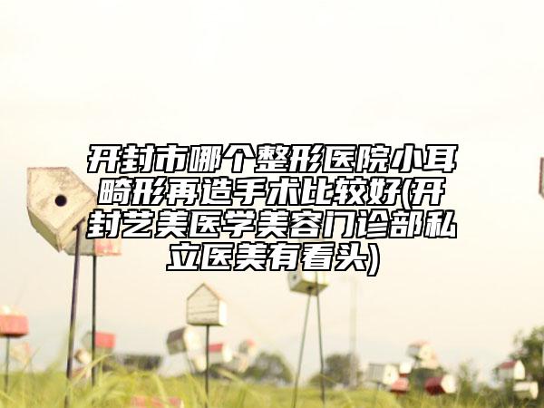 开封市哪个整形医院小耳畸形再造手术比较好(开封艺美医学美容门诊部私立医美有看头)