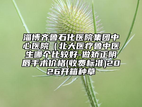 淄博齐鲁石化医院集团中心医院（北大医疗鲁中医生哪个比较好-做矫正阴唇手术价格(收费标准)2026开箱种草