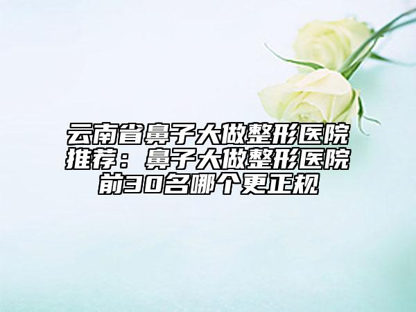 云南省鼻子大做整形医院推荐：鼻子大做整形医院前30名哪个更正规
