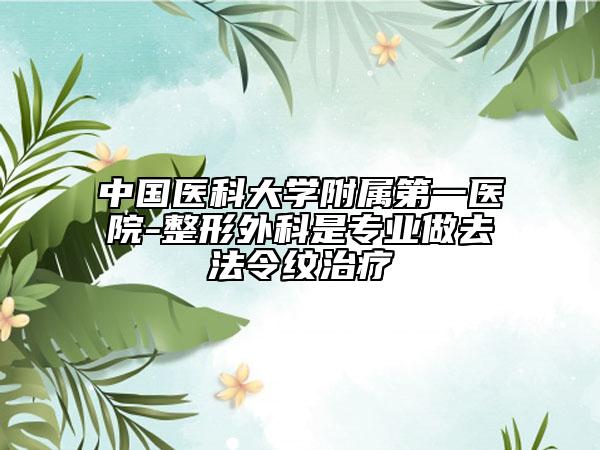 中国医科大学附属第一医院-整形外科是专业做去法令纹治疗