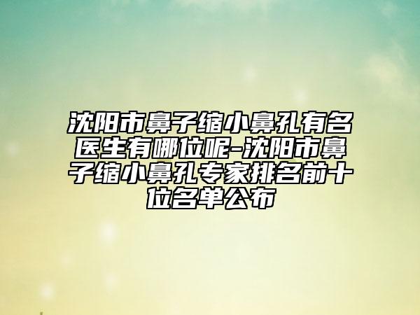 沈阳市鼻子缩小鼻孔有名医生有哪位呢-沈阳市鼻子缩小鼻孔专家排名前十位名单公布