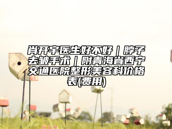 肖开宇医生好不好｜脖子去皱手术｜附青海省西宁交通医院整形美容科价格表(费用)