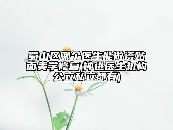 蜀山区哪个医生能做瓷贴面美学修复(钟进医生机构公立私立都有)