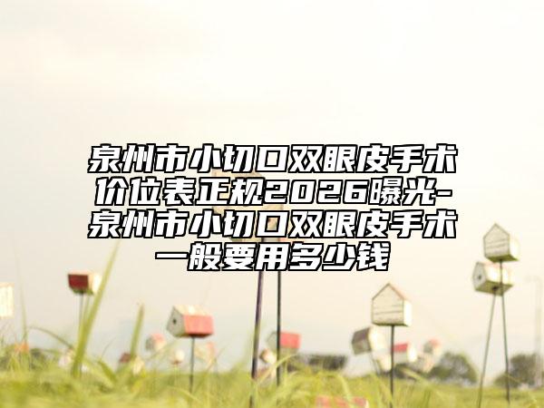 泉州市小切口双眼皮手术价位表正规2026曝光-泉州市小切口双眼皮手术一般要用多少钱