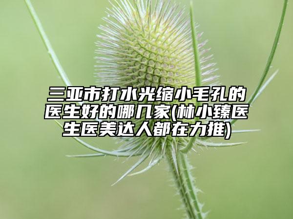 三亚市打水光缩小毛孔的医生好的哪几家(林小臻医生医美达人都在力推)