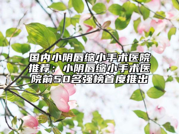 国内小阴唇缩小手术医院推荐：小阴唇缩小手术医院前50名强榜首度推出