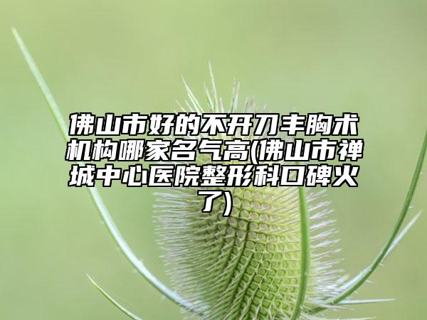 佛山市好的不开刀丰胸术机构哪家名气高(佛山市禅城中心医院整形科口碑火了)