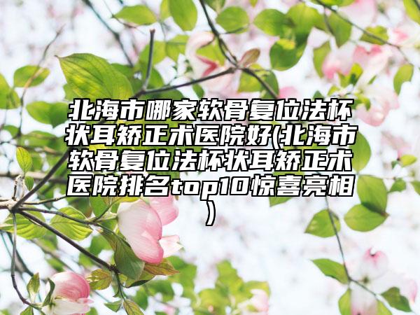 北海市哪家软骨复位法杯状耳矫正术医院好(北海市软骨复位法杯状耳矫正术医院排名top10惊喜亮相)