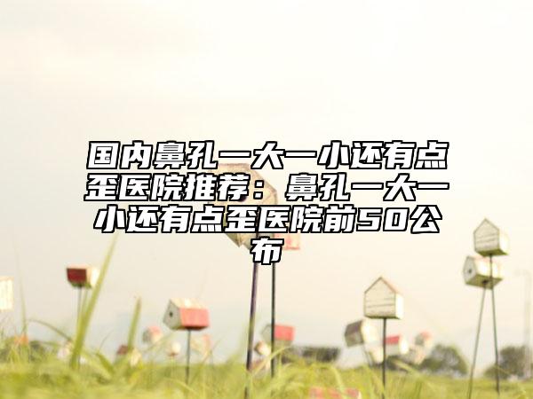 国内鼻孔一大一小还有点歪医院推荐：鼻孔一大一小还有点歪医院前50公布