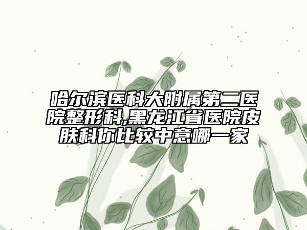 哈尔滨医科大附属第二医院整形科,黑龙江省医院皮肤科你比较中意哪一家