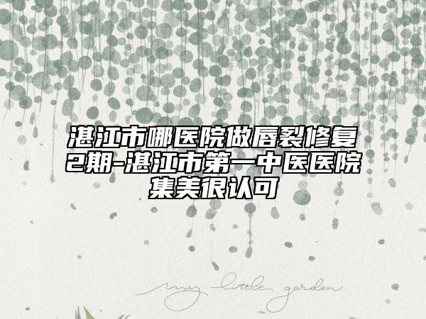 湛江市哪医院做唇裂修复2期-湛江市第一中医医院集美很认可