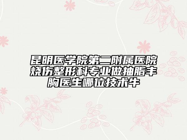 昆明医学院第二附属医院烧伤整形科专业做抽脂丰胸医生哪位技术牛