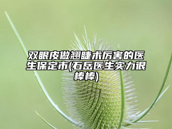 双眼皮做翘睫术厉害的医生保定市(石岳医生实力很棒棒)