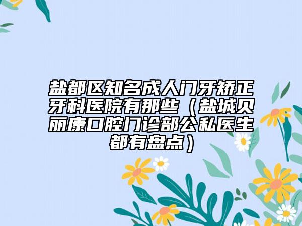 盐都区知名成人门牙矫正牙科医院有那些（盐城贝丽康口腔门诊部公私医生都有盘点）