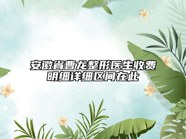 安徽省曹龙整形医生收费明细详细区间在此