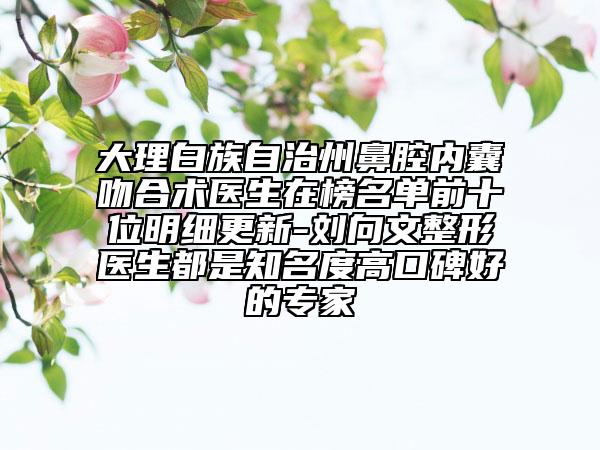 大理白族自治州鼻腔内囊吻合术医生在榜名单前十位明细更新-刘向文整形医生都是知名度高口碑好的专家