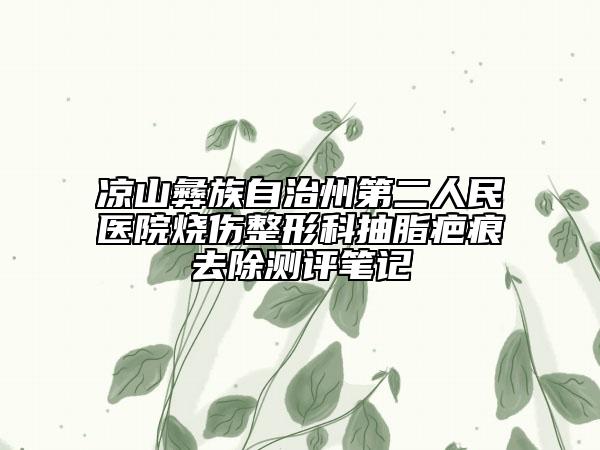 凉山彝族自治州第二人民医院烧伤整形科抽脂疤痕去除测评笔记