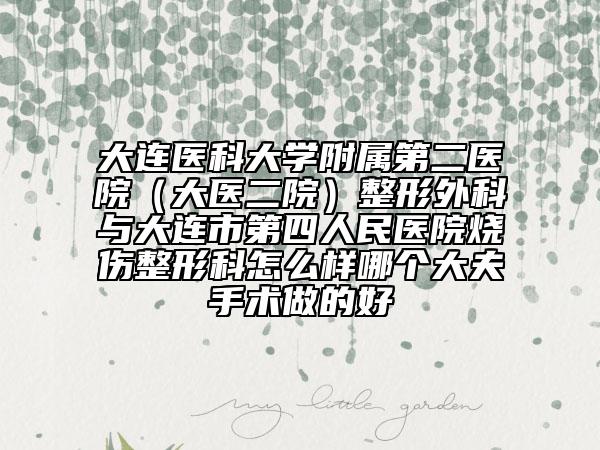大连医科大学附属第二医院（大医二院）整形外科与大连市第四人民医院烧伤整形科怎么样哪个大夫手术做的好