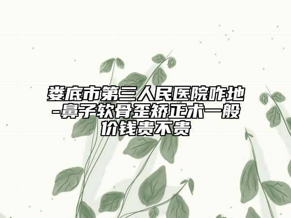 娄底市第三人民医院咋地-鼻子软骨歪矫正术一般价钱贵不贵