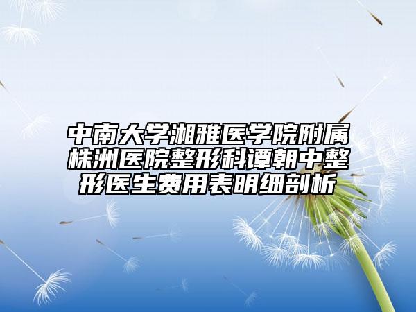 中南大学湘雅医学院附属株洲医院整形科谭朝中整形医生费用表明细剖析