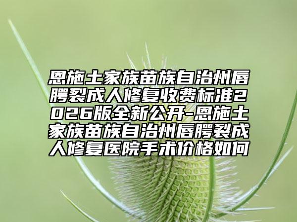 恩施土家族苗族自治州唇腭裂成人修复收费标准2026版全新公开-恩施土家族苗族自治州唇腭裂成人修复医院手术价格如何