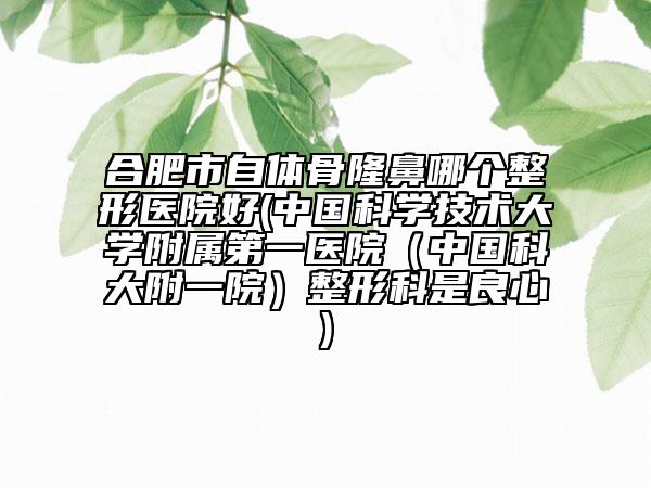 合肥市自体骨隆鼻哪个整形医院好(中国科学技术大学附属第一医院（中国科大附一院）整形科是良心)