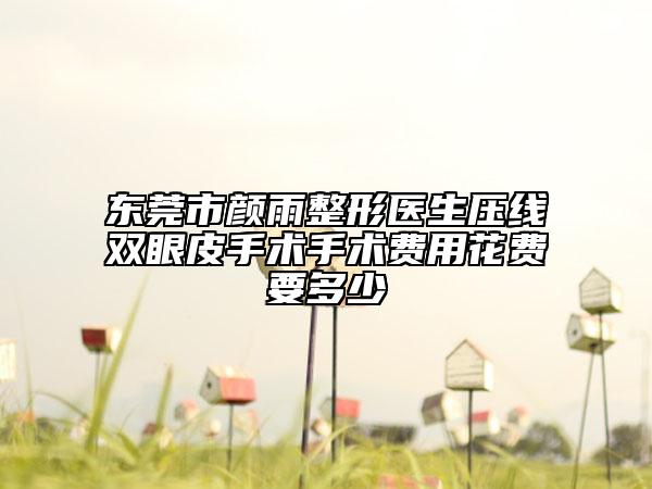 东莞市颜雨整形医生压线双眼皮手术手术费用花费要多少