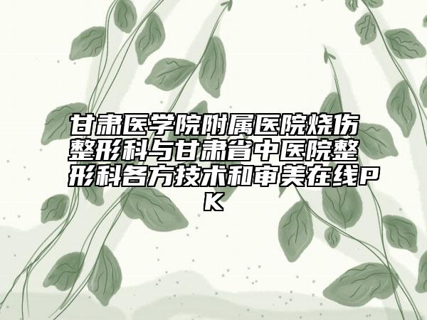 甘肃医学院附属医院烧伤整形科与甘肃省中医院整形科各方技术和审美在线PK
