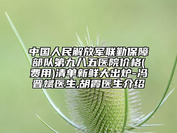 中国人民解放军联勤保障部队第九八五医院价格(费用)清单新鲜大出炉-冯晋斌医生,胡霞医生介绍