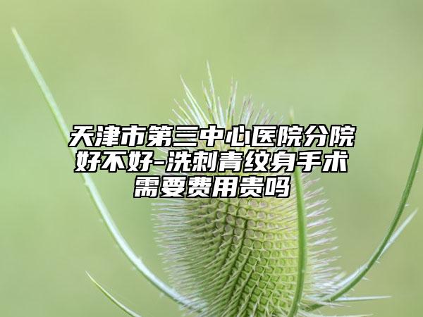 天津市第三中心医院分院好不好-洗刺青纹身手术需要费用贵吗