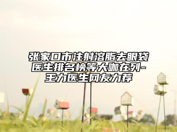 张家口市注射溶脂去眼袋医生排名榜等大咖在列-王力医生网友力荐